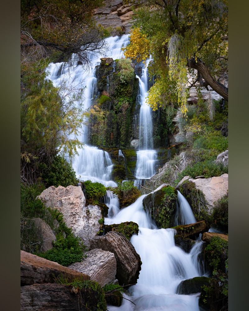 Sample image with blurred border